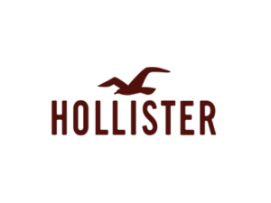 Hollister Logo Referenzen B&B Elektro- und Steuerungstechnik